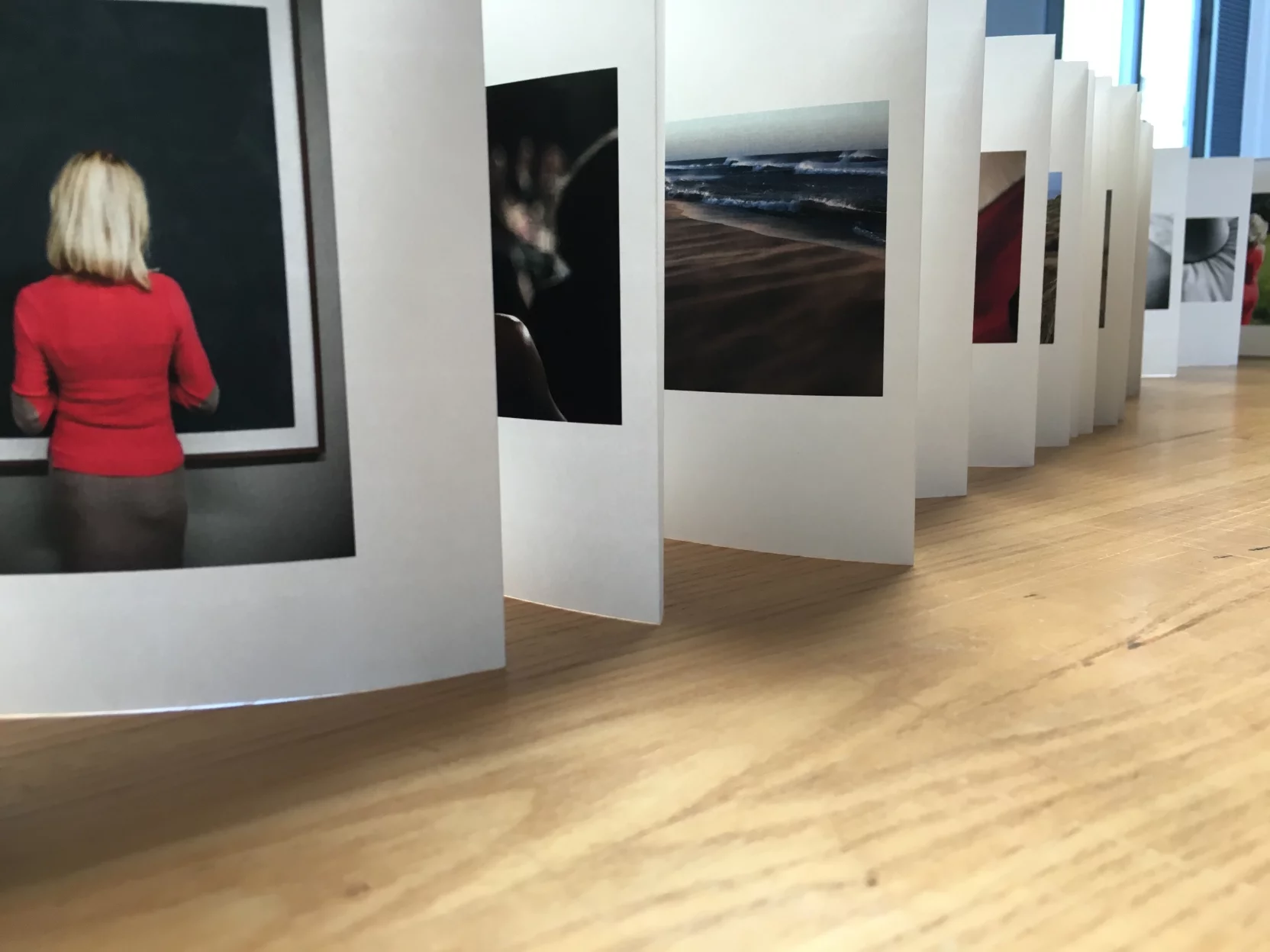 fotodart livres art